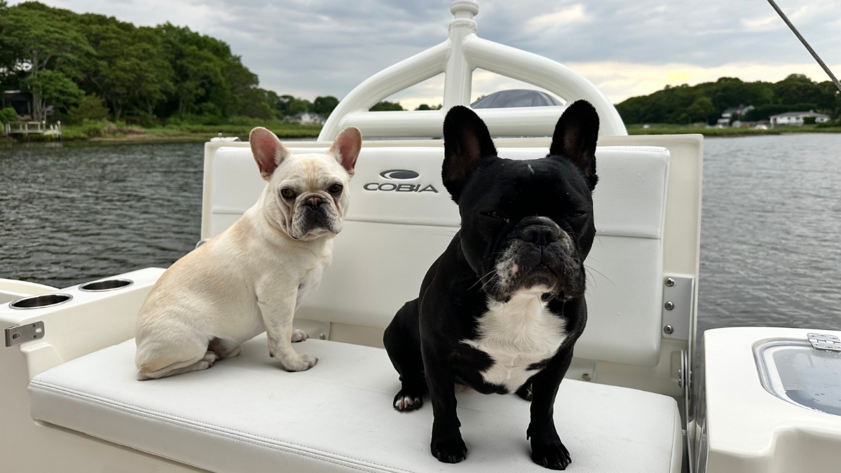 Modern Yachts boats serving Mattituck and North Fork waters