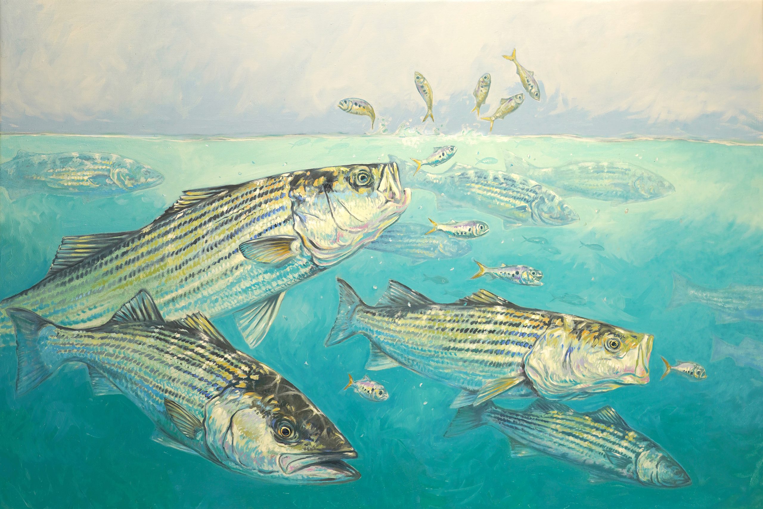 Striped bass fishing on Long Island