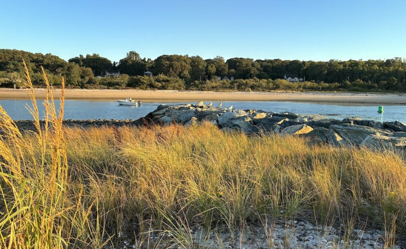 Boat running the narrow Mattituck Inlet toward the North Fork wineries